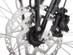 Electra Townie Commute Go! 5i EQ Step-Over (2023) -Specialized Verkkokauppa TownieCommuteGo5IStepOver 22 34900 A Alt4